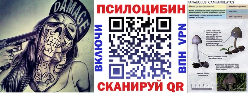 KRAKEN сайт Заинск Псилоцибиновые грибы прущие грибы